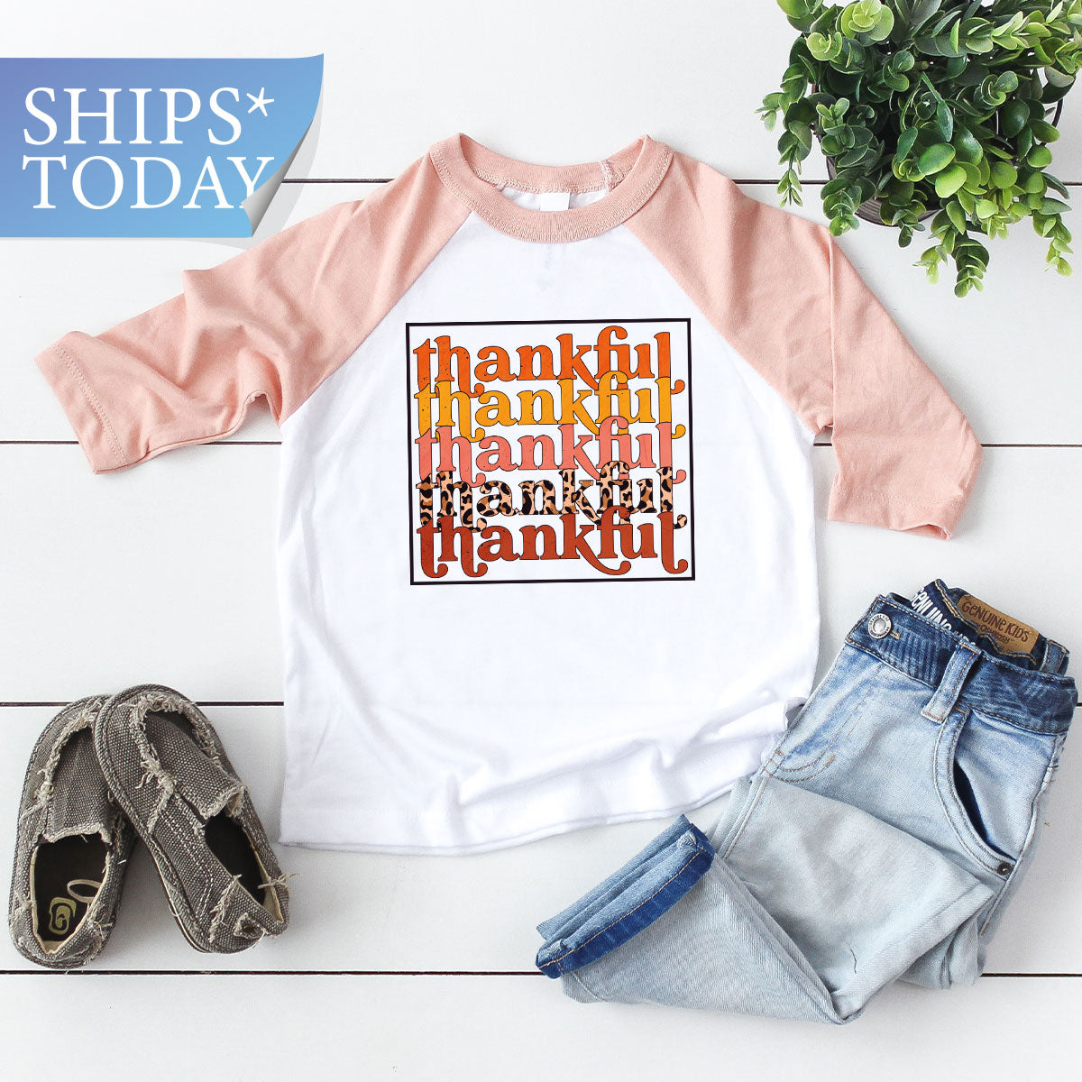 Fall T-Shirt, Thanksgiving Shirt, Fall Vibes Hoodie, Fall T-Shirt Women, Thankful T-Shirt